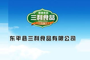 東平湖牌特制紅薯粉條袋裝 加盟批發優勢與廣告設計策略